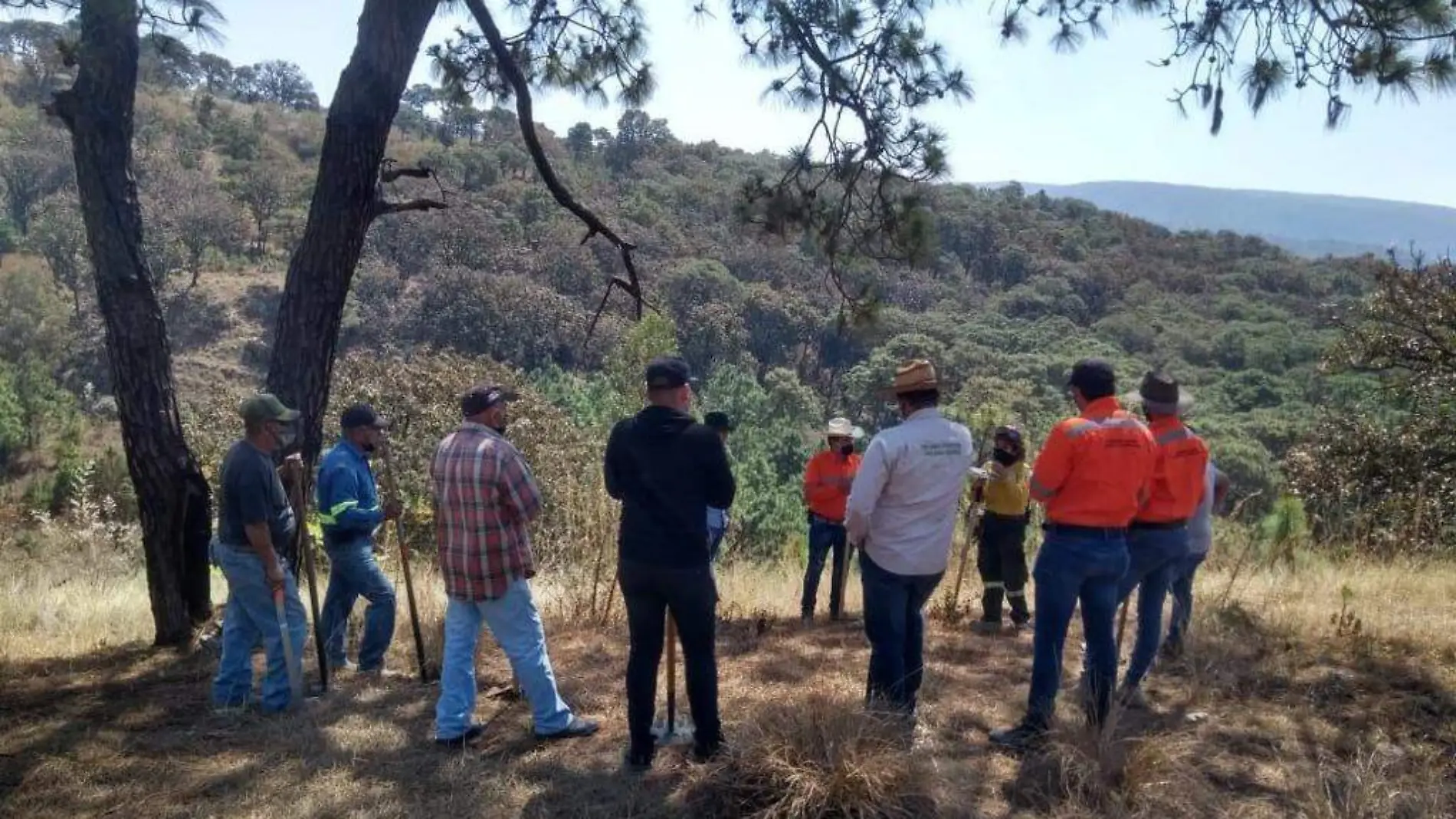 alisco se refuerza contra incendios 2